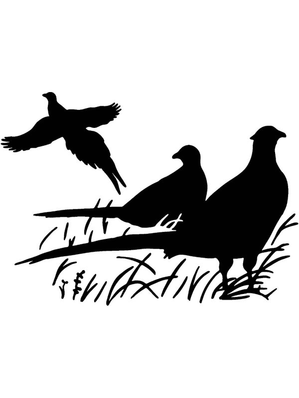 Фазан силуэт