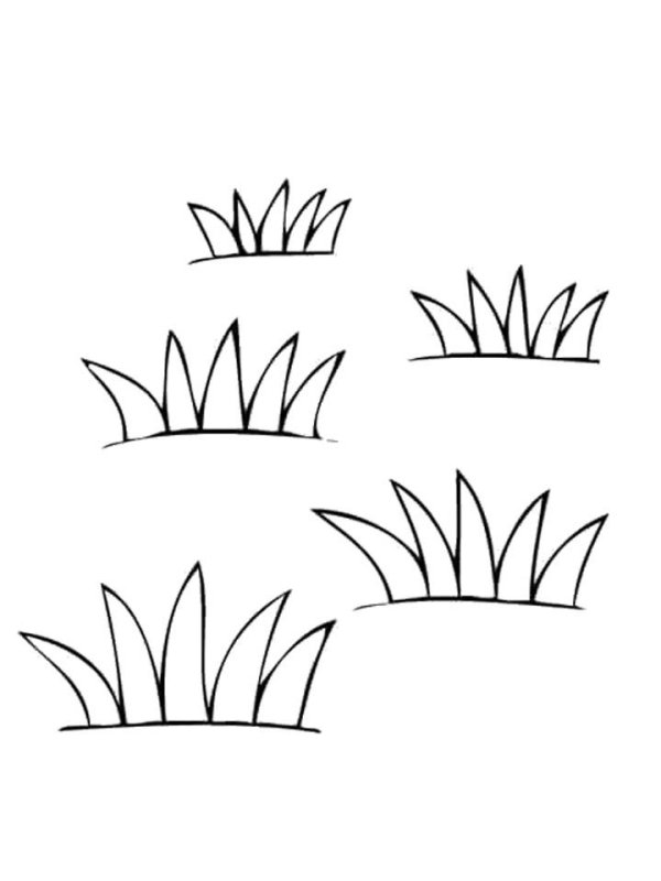 Трава раскраска для детей