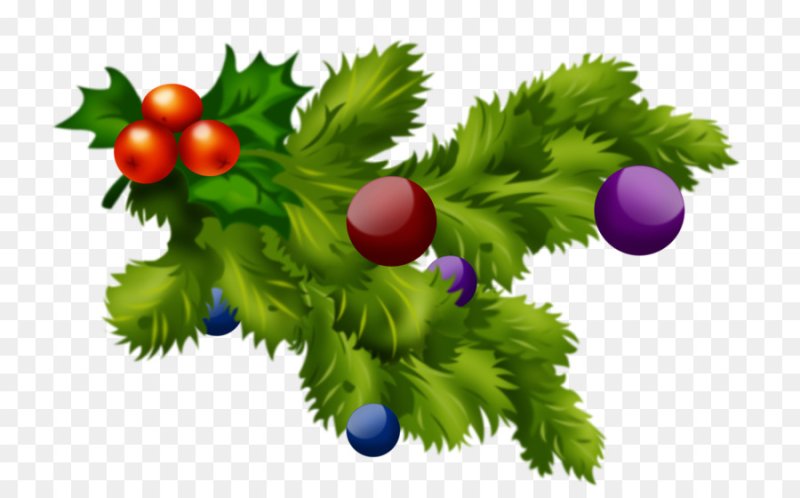 Новогодняя ветка на прозрачном фоне