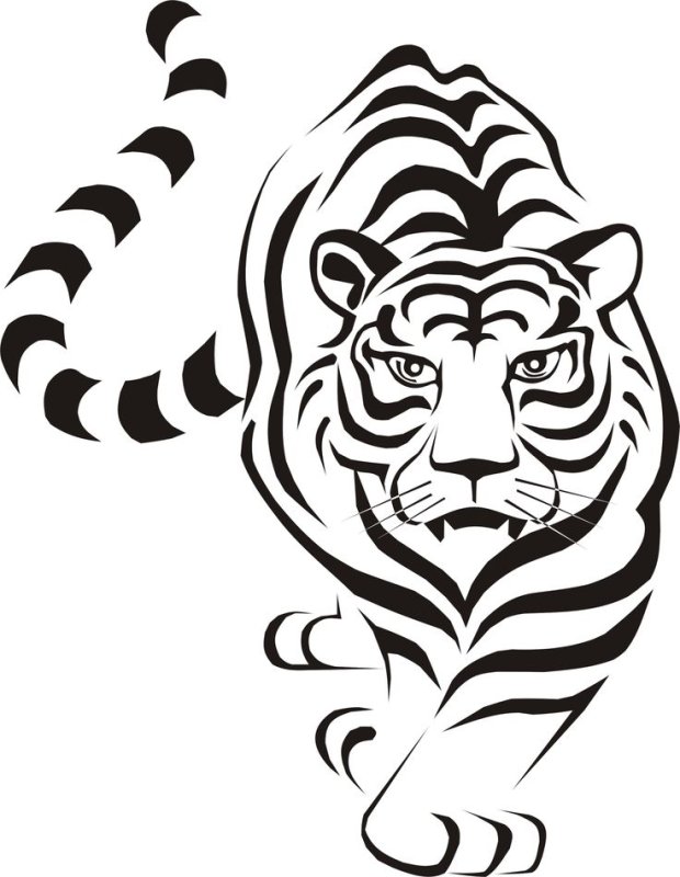 Тигр силуэт