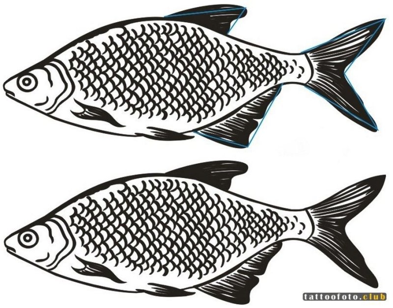Изображение рыбы