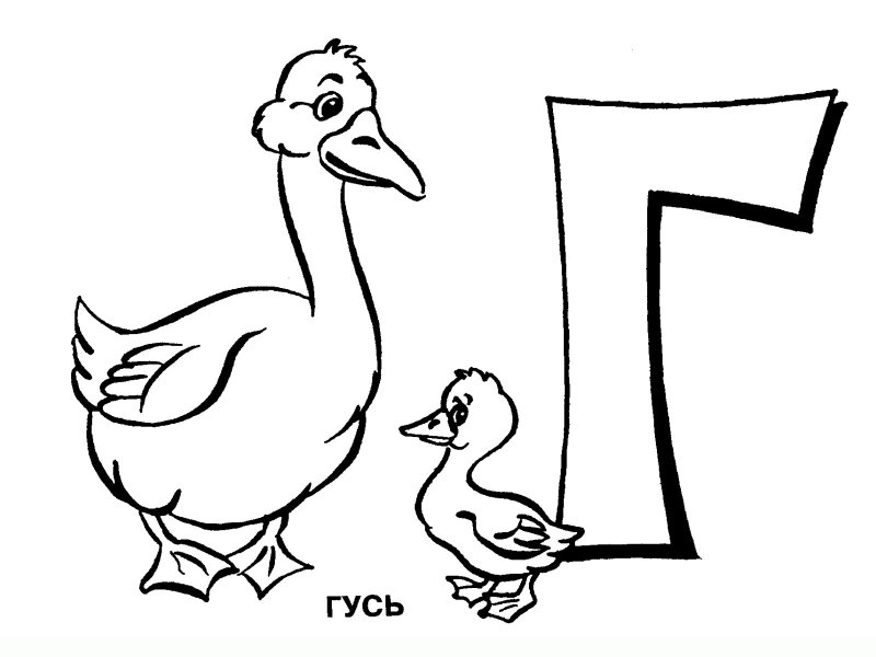 Буква г раскраска