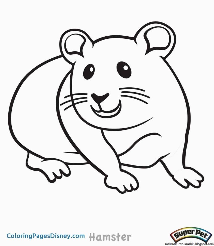 Хомяк раскраска для малышей