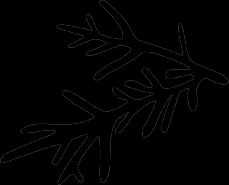 Ветки на окнах трафареты для вырезания