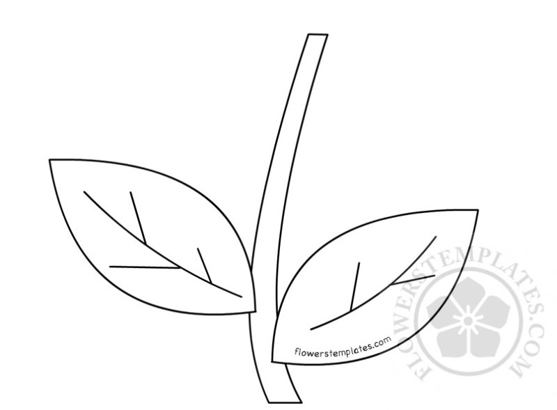 Трафарет листочков для вырезания для цветов