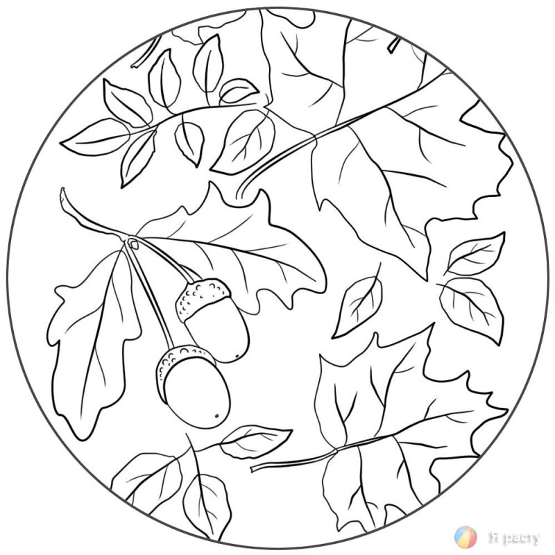 Краски осени раскраска