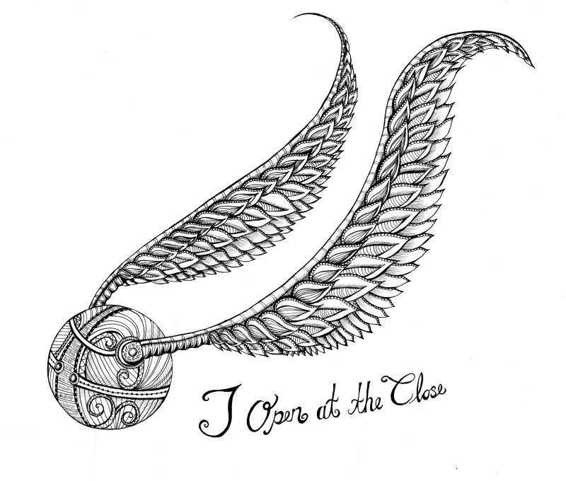 Раскраска Гарри Поттер золотой снитч