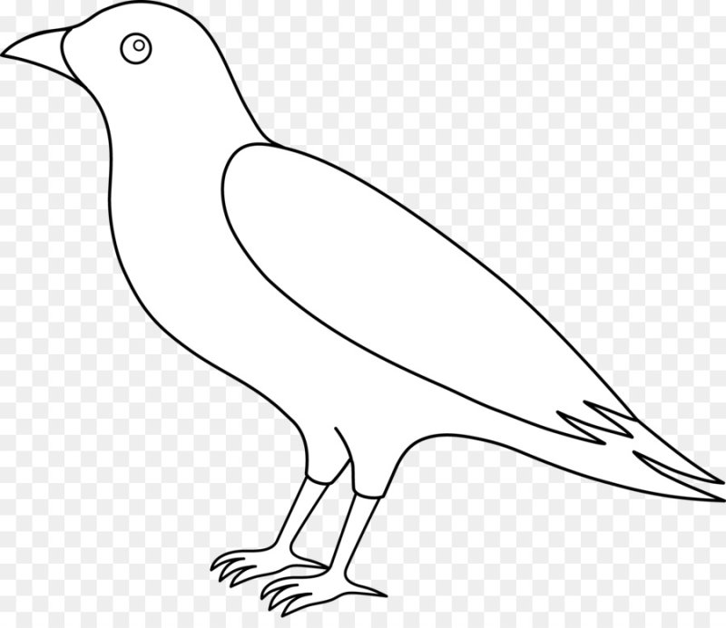 Грач контур для детей