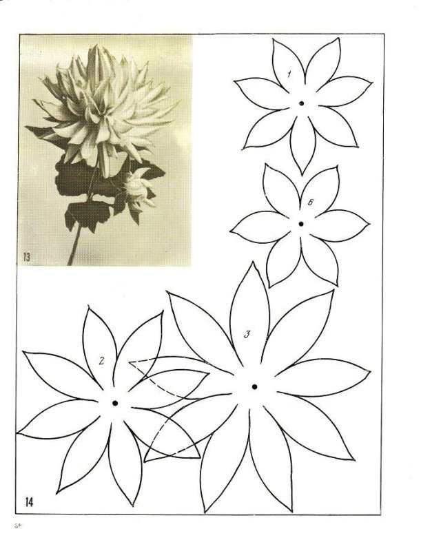 Лекала цветов из бумаги