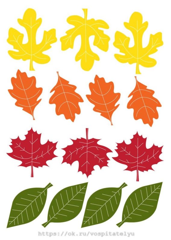 Цветной лист