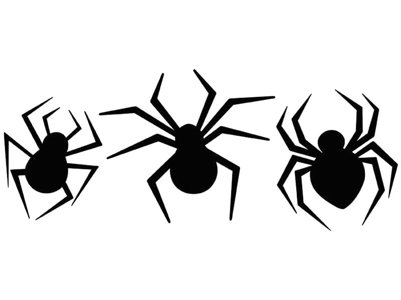 Паучок трафарет