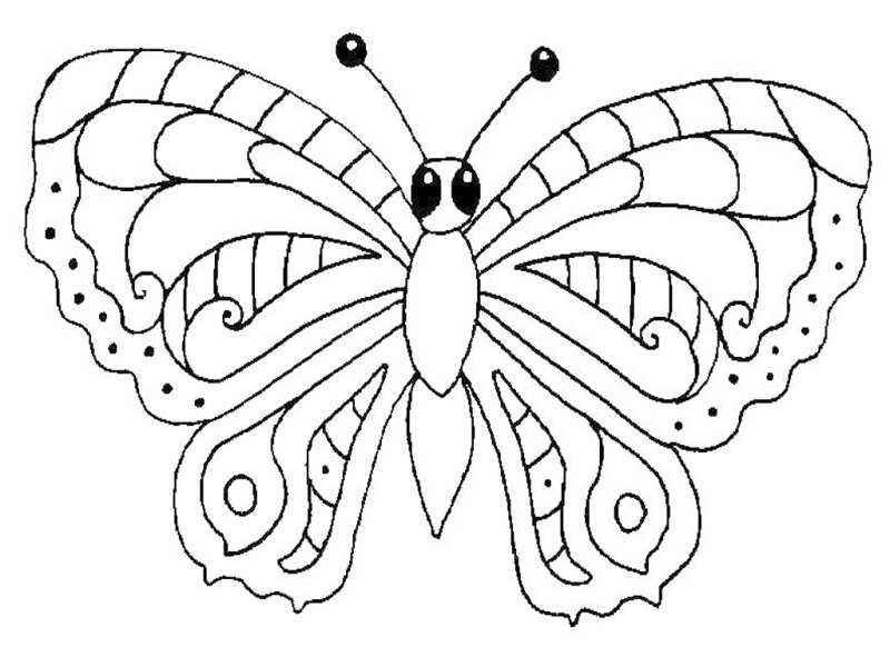 Насекомые раскраска для детей