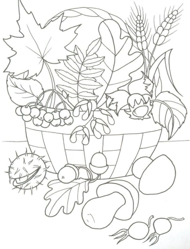 Осень раскраска для детей