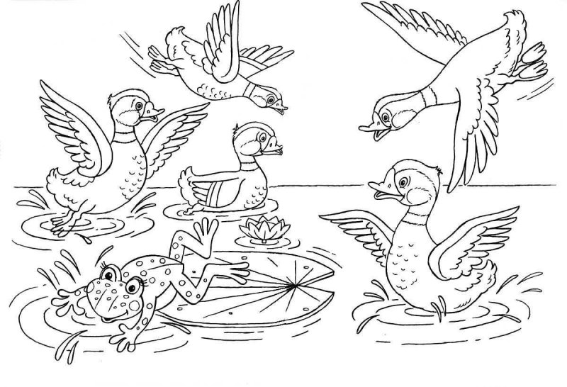 Иллюстрация к сказке лягушка путешественница раскраска