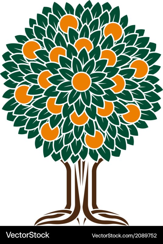 Фруктовые деревья вектор