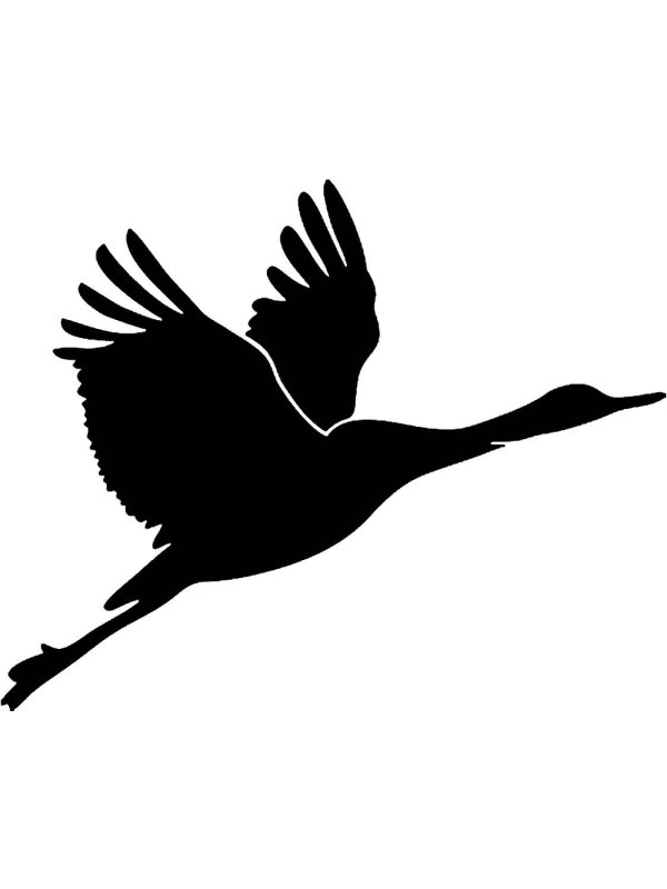 Силуэт летящего журавля