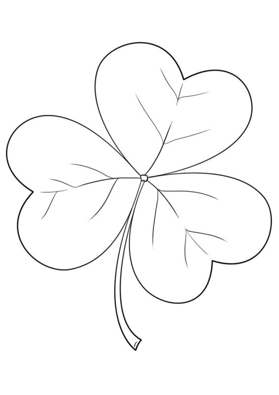 Клевер трехлистный раскраска