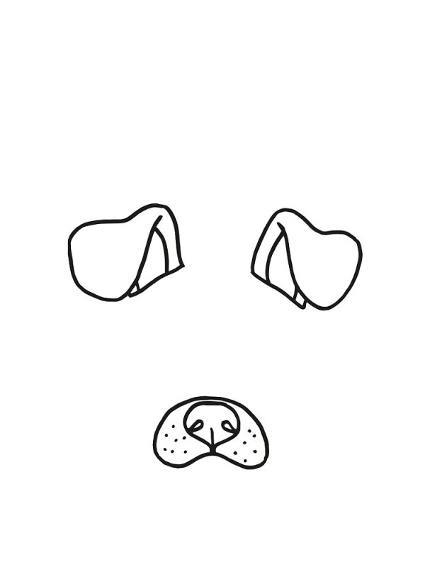 Собачьи уши