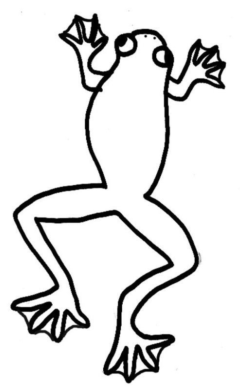 Лягушка раскраска