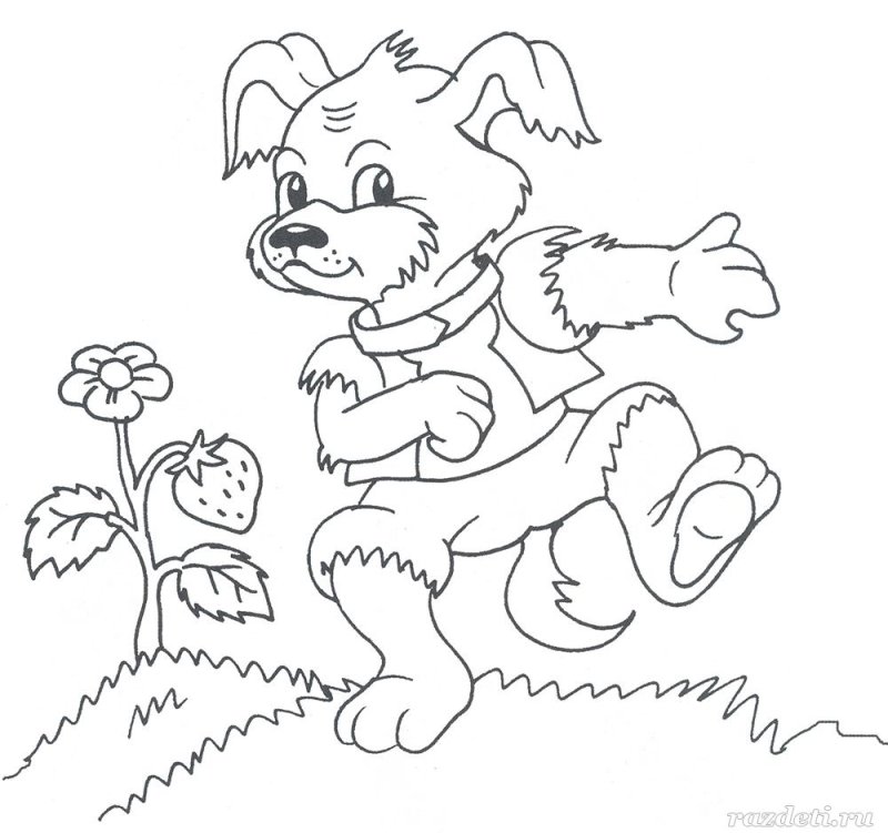 Раскраска. Репка