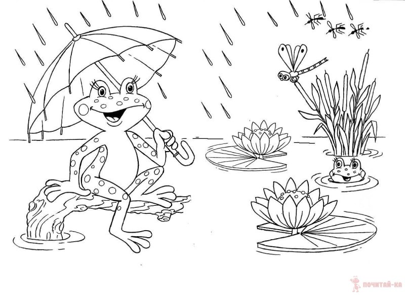 Раскраска к рассказу лягушка путешественница