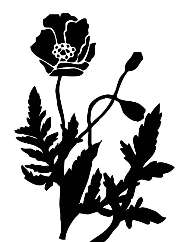 Силуэты цветов