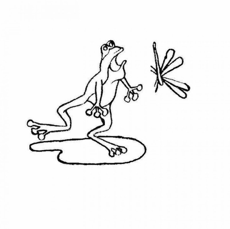 Лягушка путешественница рисунок