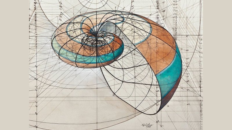 Рафаэль Араухо: золотое сечение