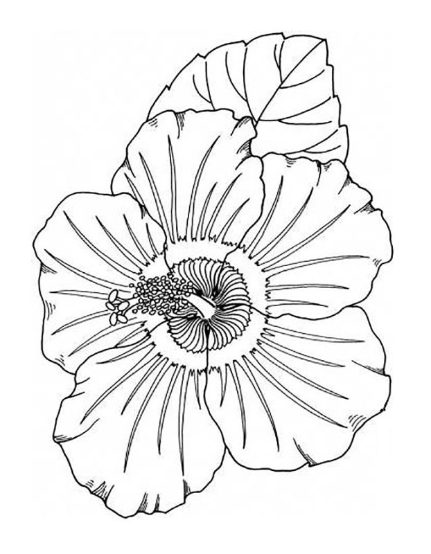 Трафарет "цветы"