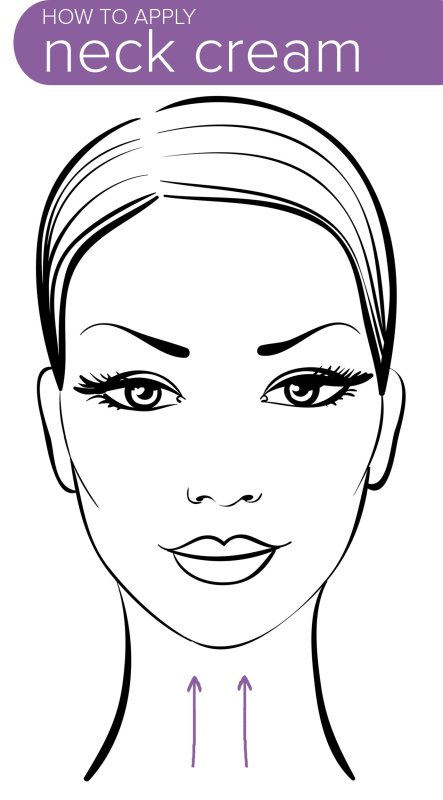 Очертания лица