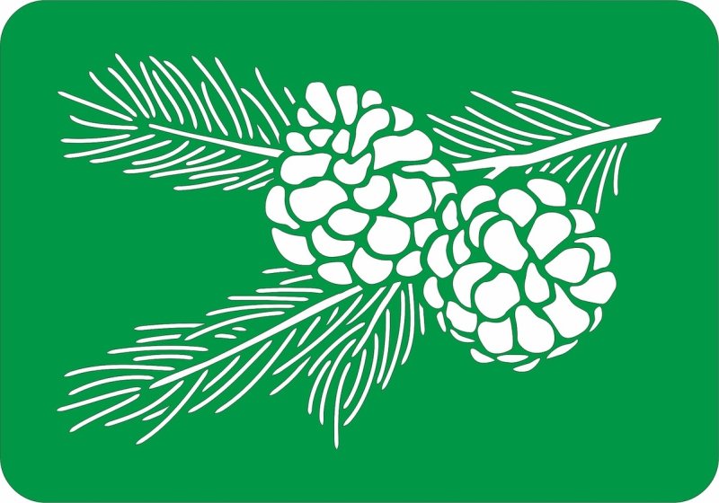 Еловая ветка трафарет
