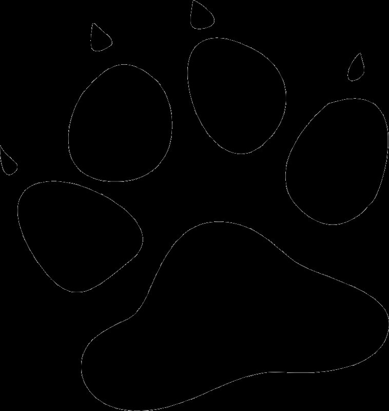 Отпечаток лапки кота