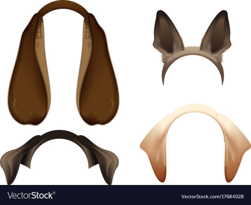 Ободок с собачьими ушами