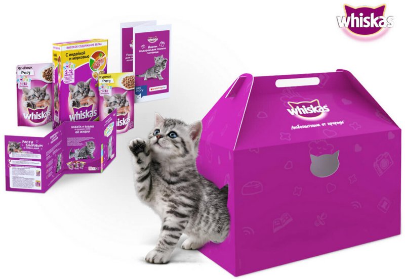 Whiskas набор для котят
