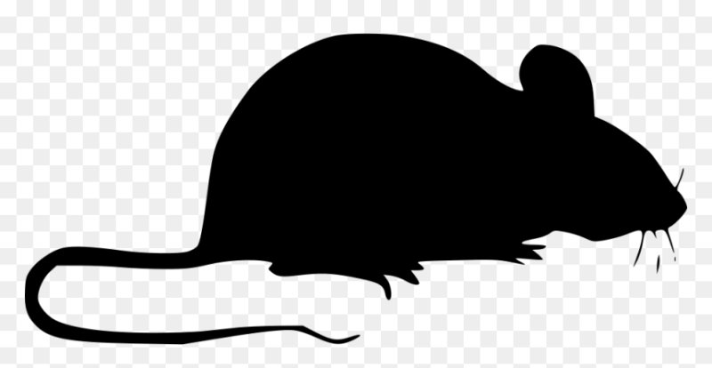 Грызун силуэт