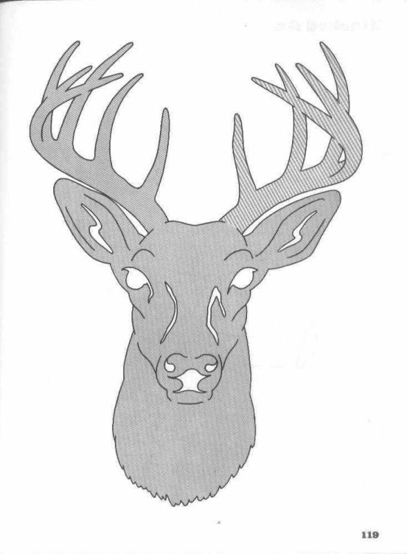 Морда оленя