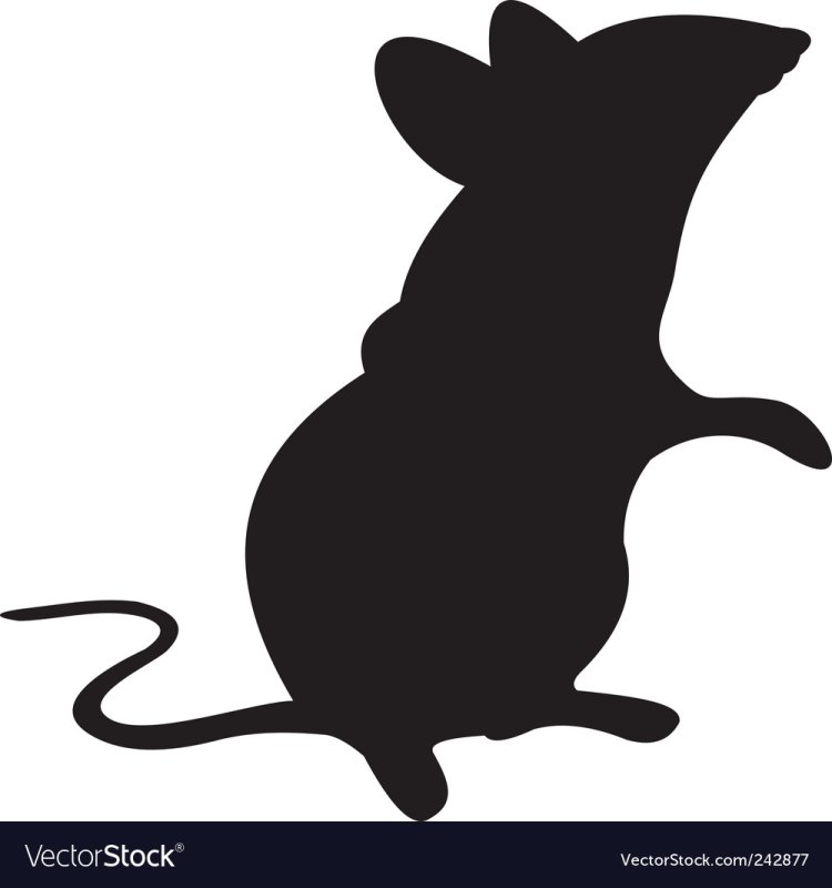 Мышь теневой театр