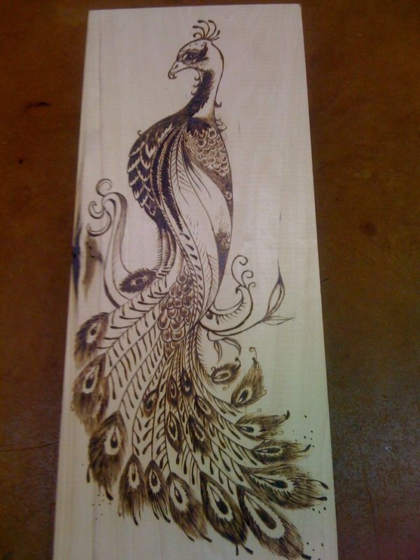 Павлин Выжигание по дереву