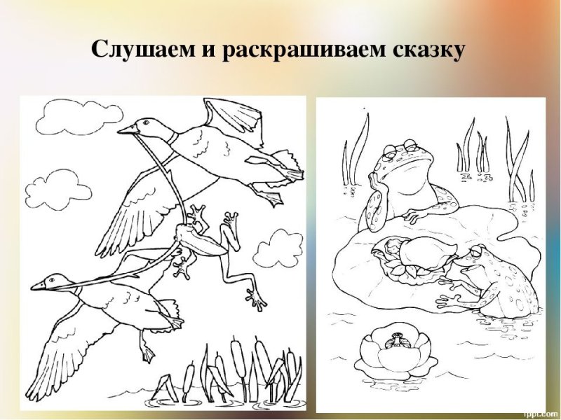Рисунок к сказке лягушка путешественница 3 класс