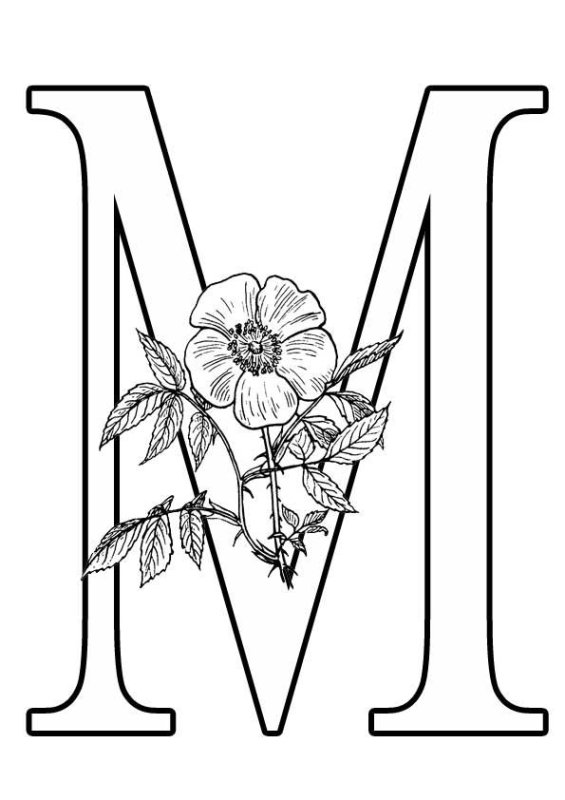 Картинки для раскрашивания буквы