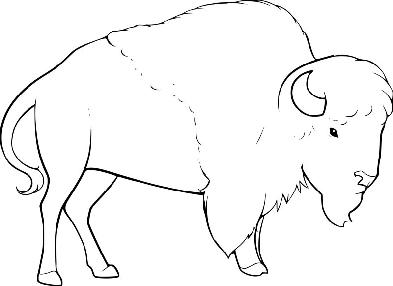 ЗУБР раскраска