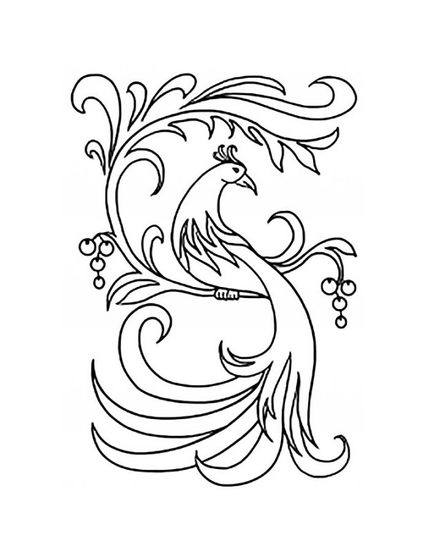 Жар птица рисунок карандашом