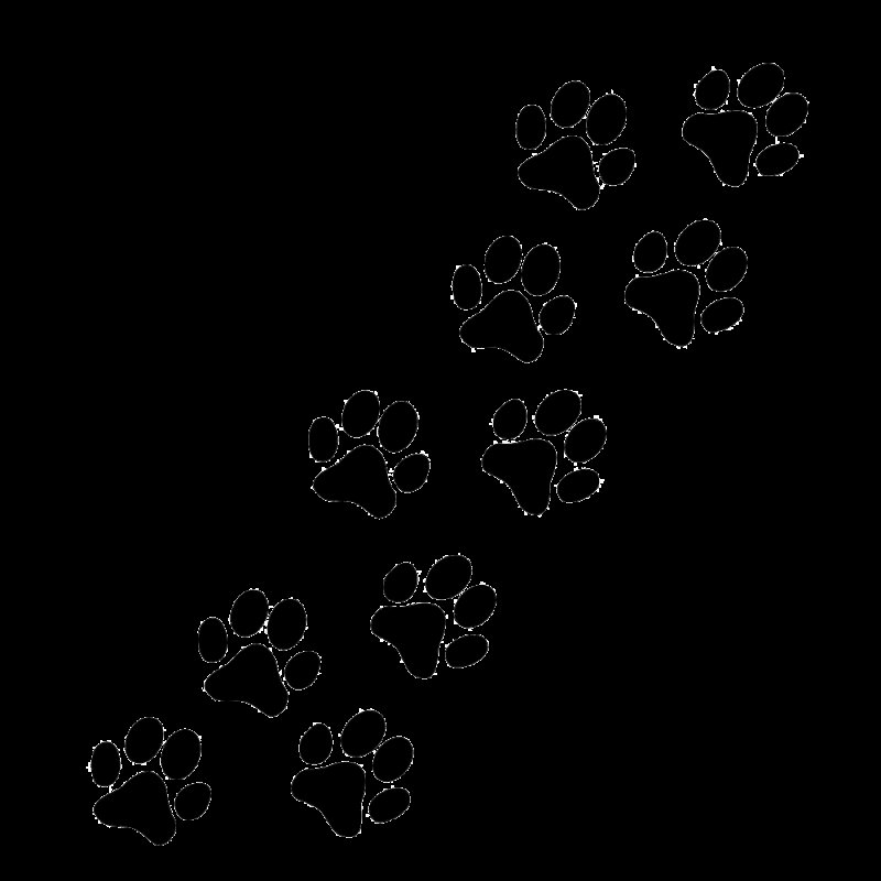 Следы кошки и собаки