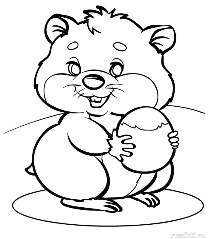 Хомяк раскраска для малышей