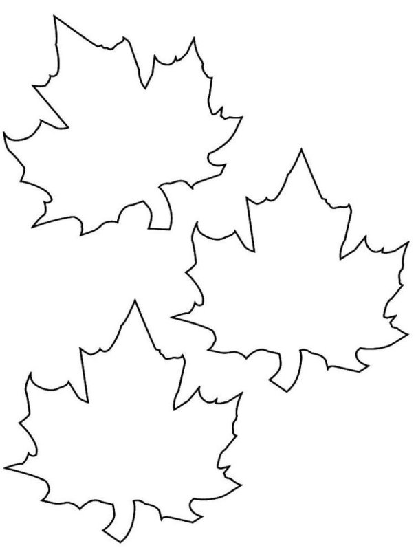 Листья клена шаблоны для вырезания