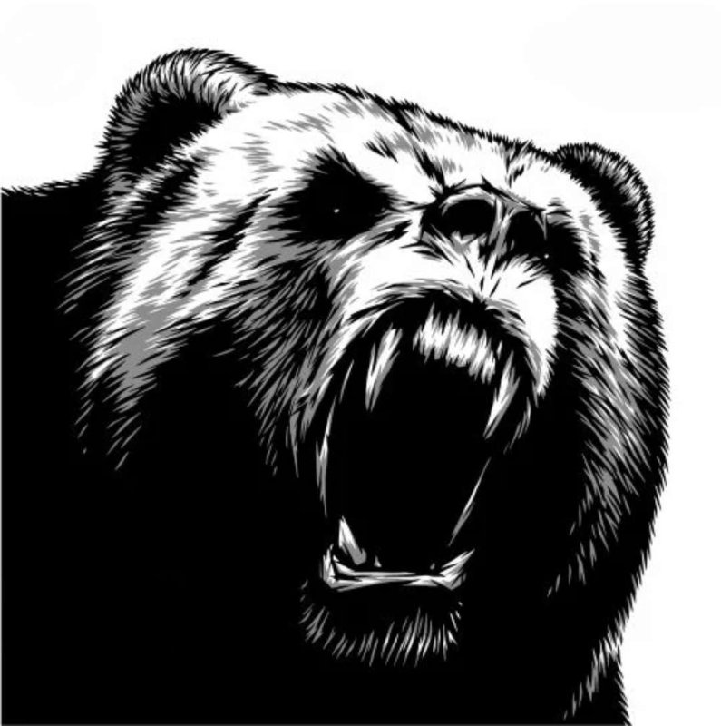 Медведь тату эскиз