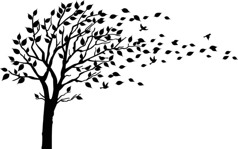Силуэт дерева