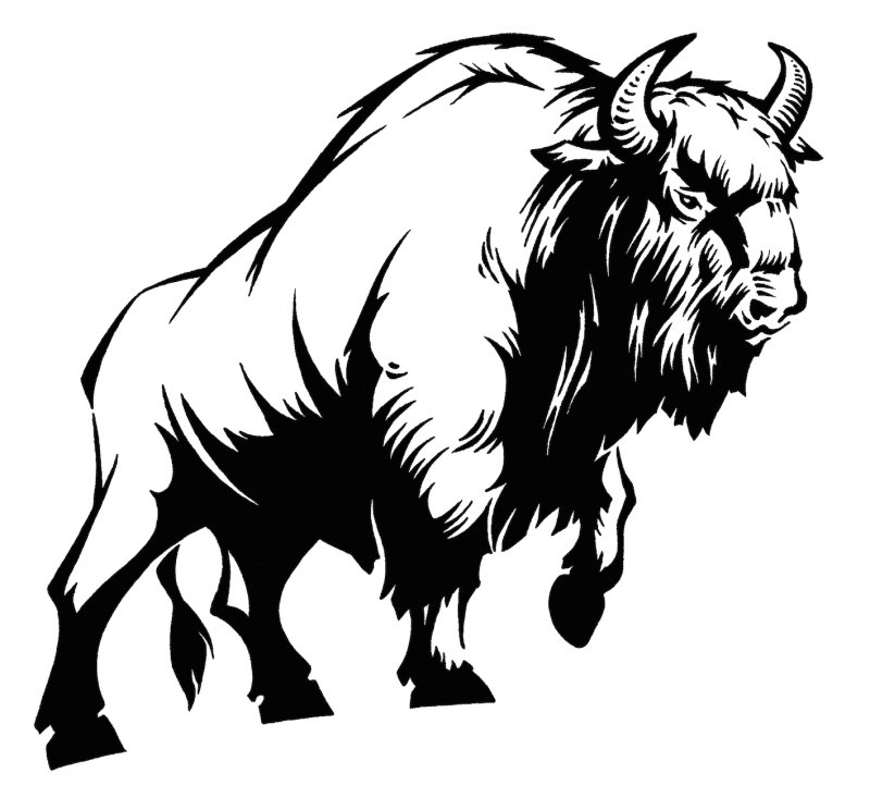 ЗУБР вектор