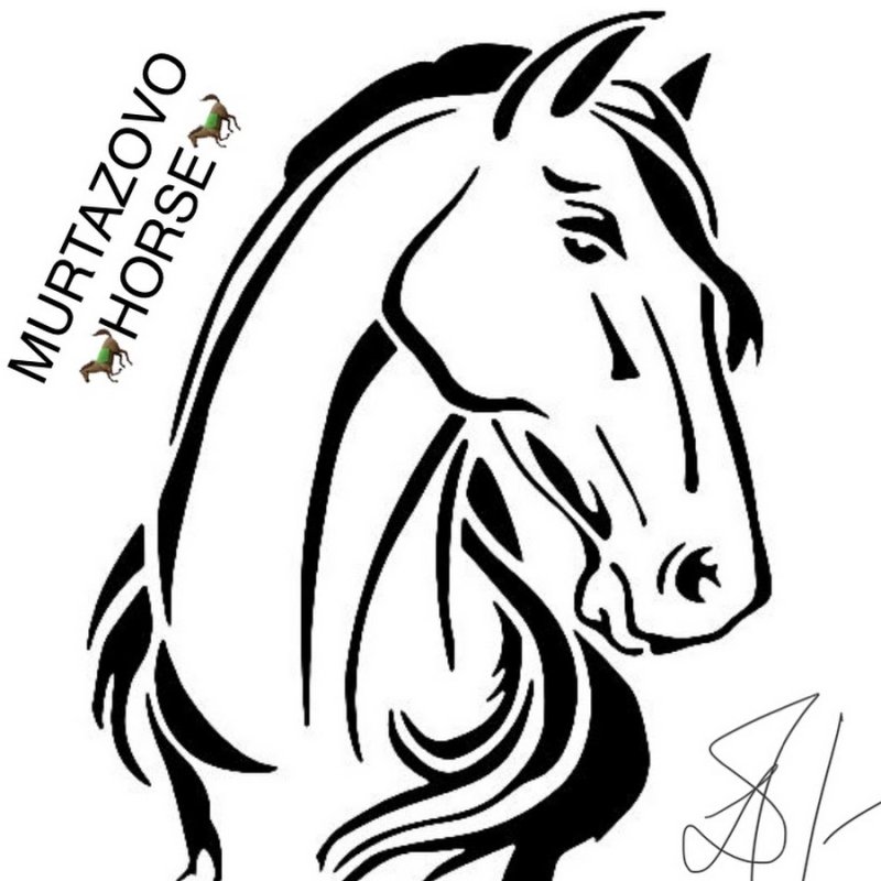Морда лошади трафарет