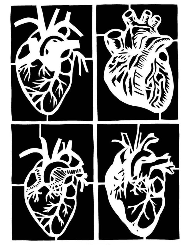 Трафарет анатомического сердца